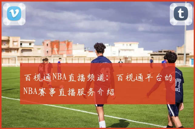 百视通NBA直播频道：百视通平台的NBA赛事直播服务介绍