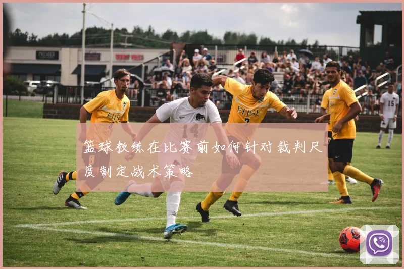 篮球教练在比赛前如何针对裁判尺度制定战术策略