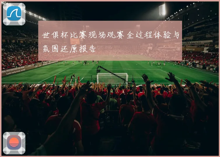 世俱杯比赛现场观赛全过程体验与氛围还原报告