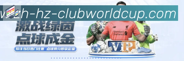 未来规划