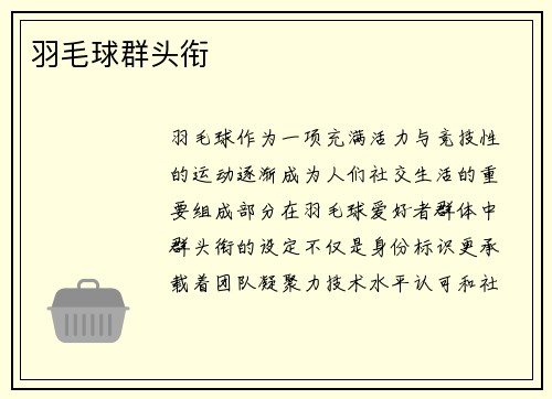 羽毛球群头衔